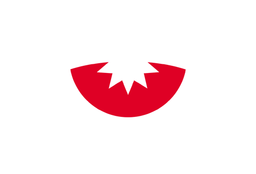Gissins New标志 白色